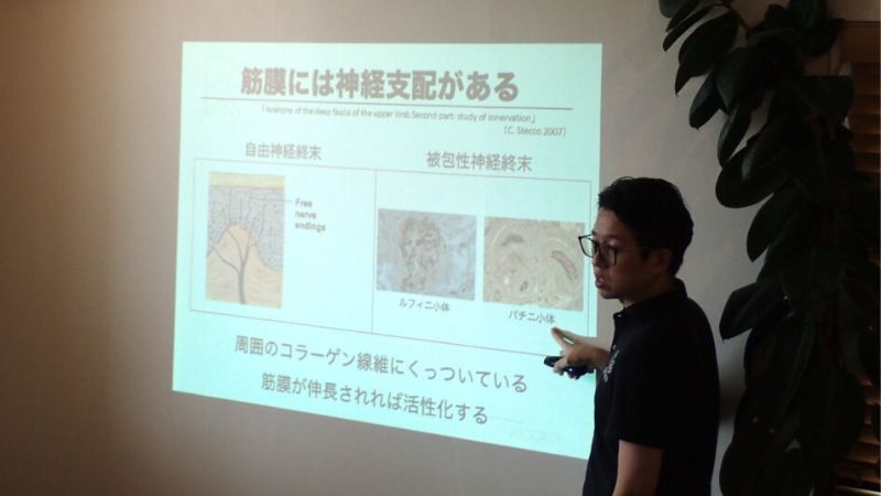 筋膜には神経支配がある