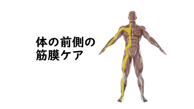 筋膜ケアのライン