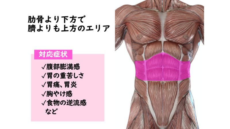 胃腸トラブルに対する筋膜ケア