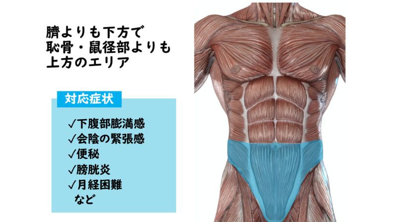 胃腸トラブルに対する筋膜ケア