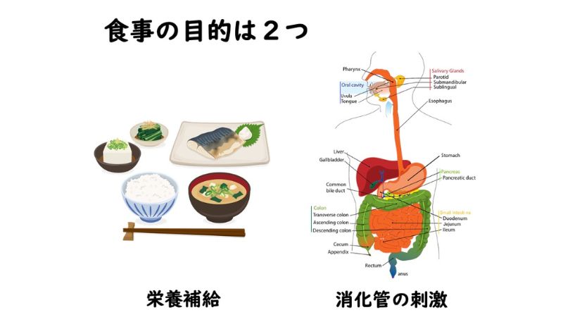 食事の目的